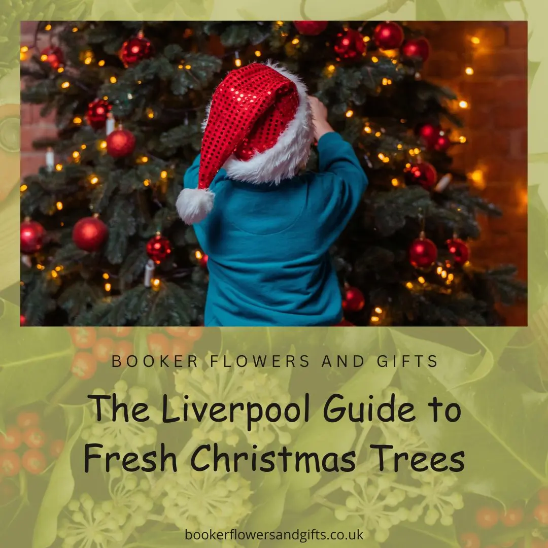 A Guide to Choosing the Perfect Fresh Christmas Tree for Your Home